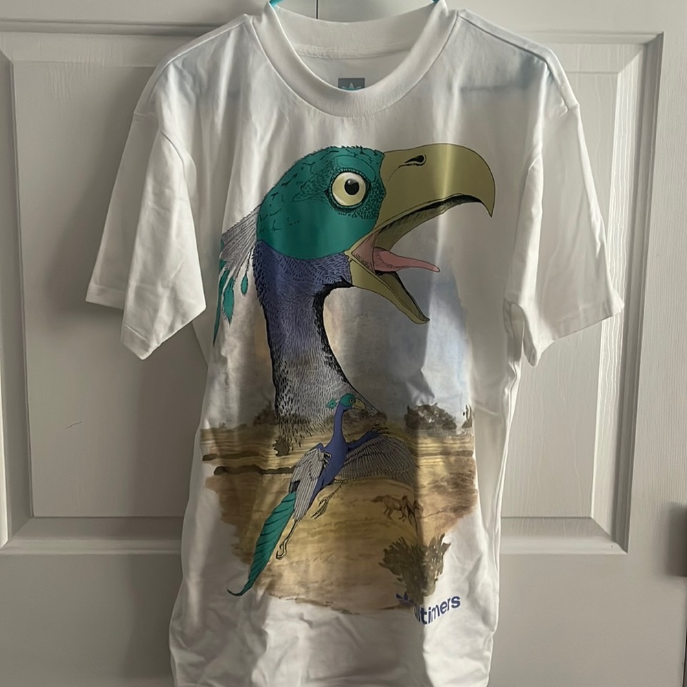 Adidas T Shirt
